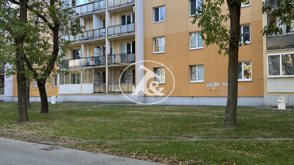 PRIESTRANNÝ 3-IZBOVÝ BYT S VEĽKOU LOGGIOU ORIENTOVANOU DO PARKU,  JADROVÁ UL. , RUŽINOV