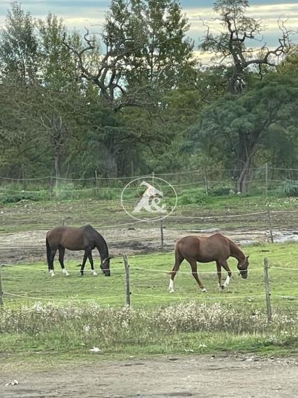 Rodinný dom s atmosférou vidieckeho bývania