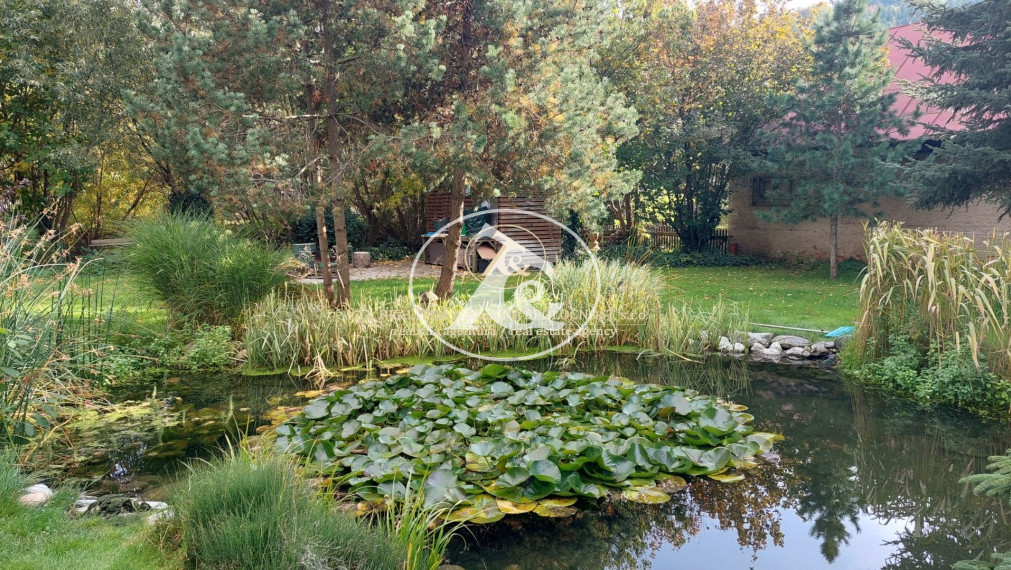 Multifunkčný dom v Mýte pod Ďumbierom - Bývanie a podnikanie v jednom!