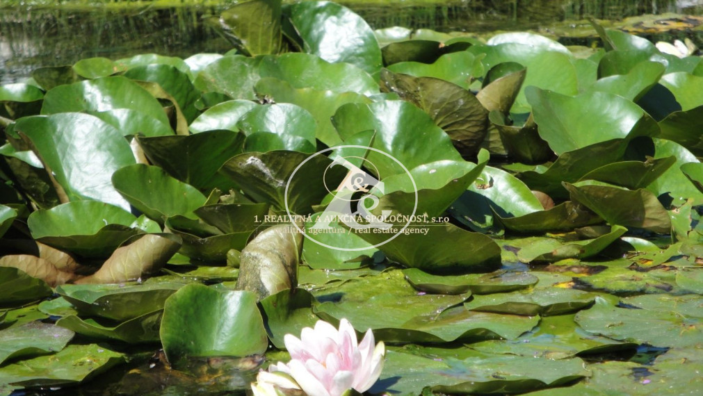 Multifunkčný dom v Mýte pod Ďumbierom - Bývanie a podnikanie v jednom!