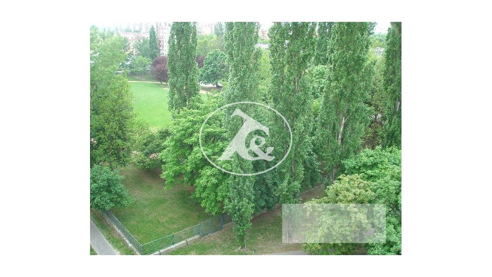 PRENÁJOM VEĽMI PEKNEJ ZARIADENEJ GARZONKY V TICHOM PROSTREDÍ PLNOM ZELENE,RUŽINOV(ŠTEFUNKOVA UL)