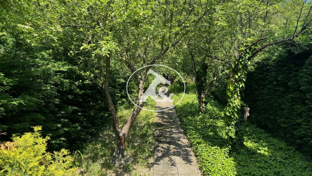 Patrónka - ateliér - pekáreň - výroba - služby - sídlo firmy