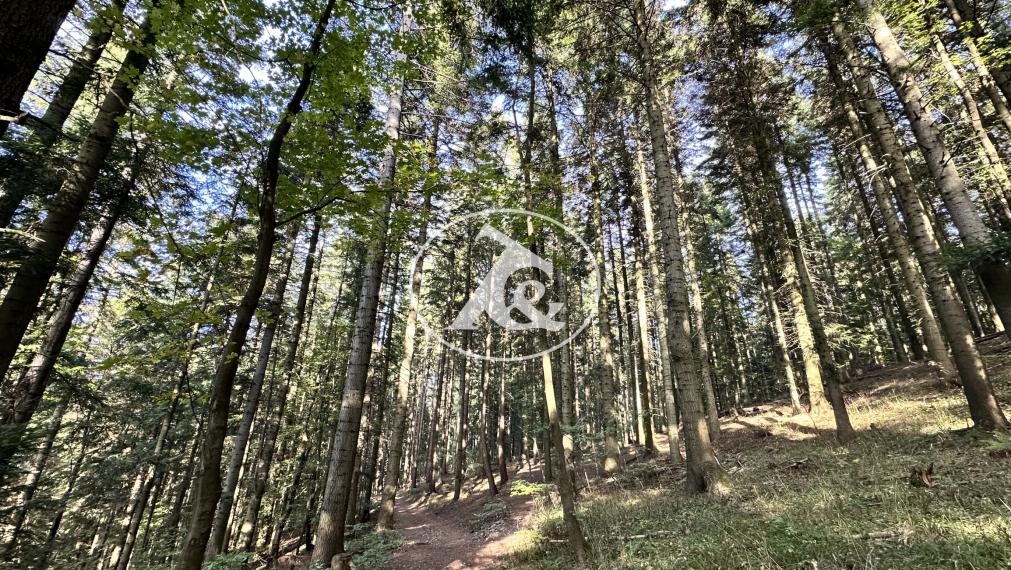 Apartmány na predaj pri jazere Klinger – Banská Štiavnica