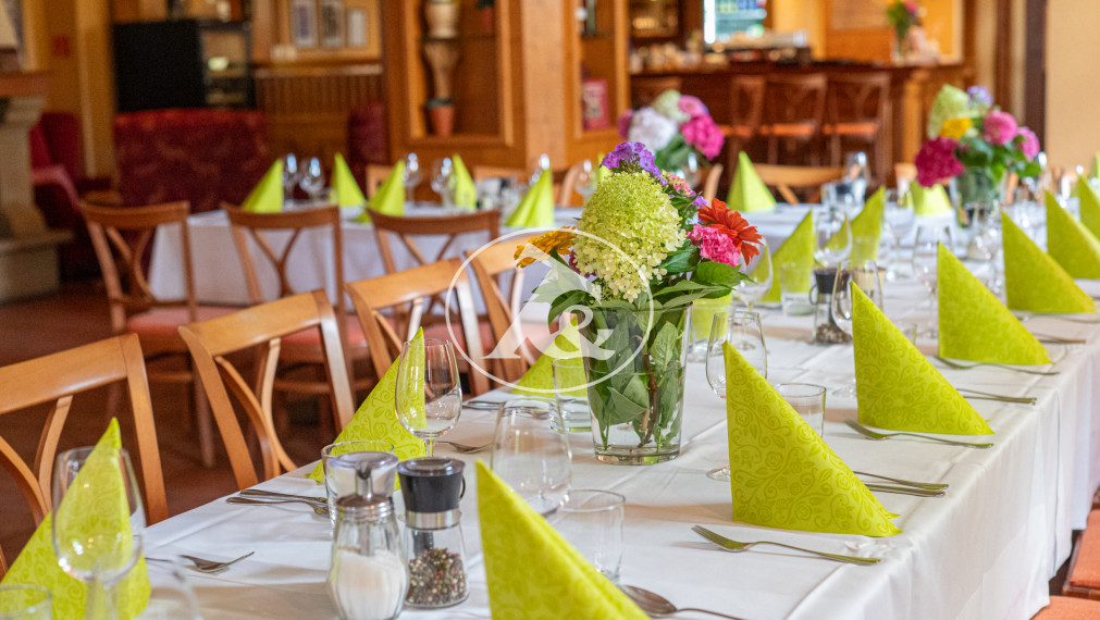 Výborná investičná príležitosť – predaj budovy penziónu  v Moravanoch nad Váhom