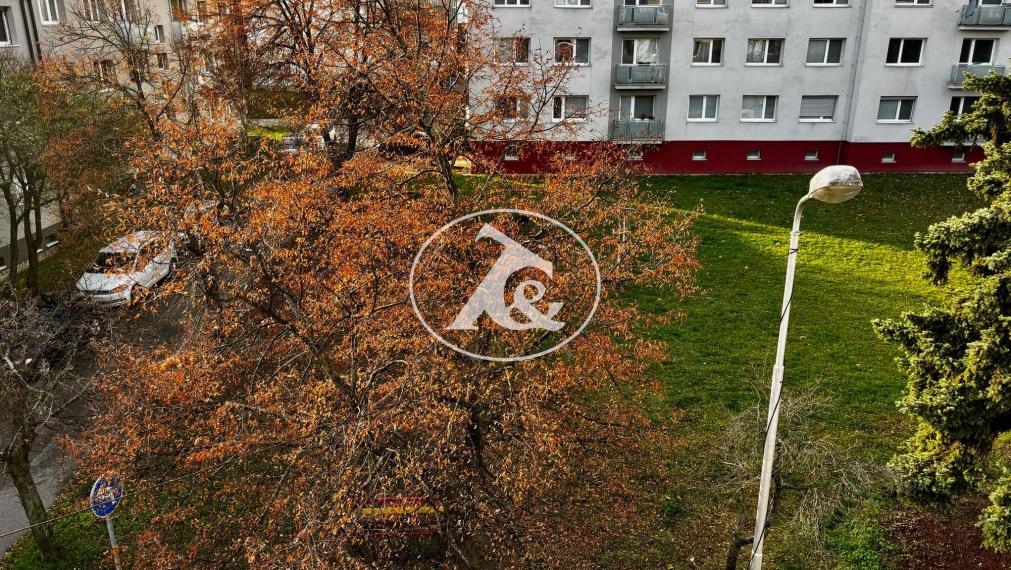 PREDAJ NÁDHERNÉHO 4-IZB. ZREKONŠTRUOVANÉHO BYTU S 2 BALKÓNMI  A VEĽKOU PIVNICOU V PROSTREDÍ PLNOM ZELENE (ULICA PRI BIELOM KRÍŽI)