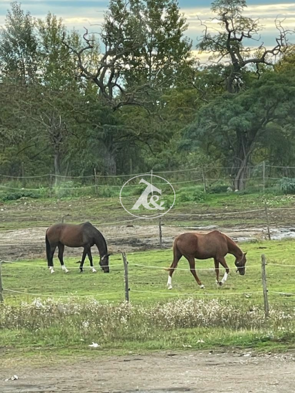Rodinný dom s atmosférou vidieckeho bývania