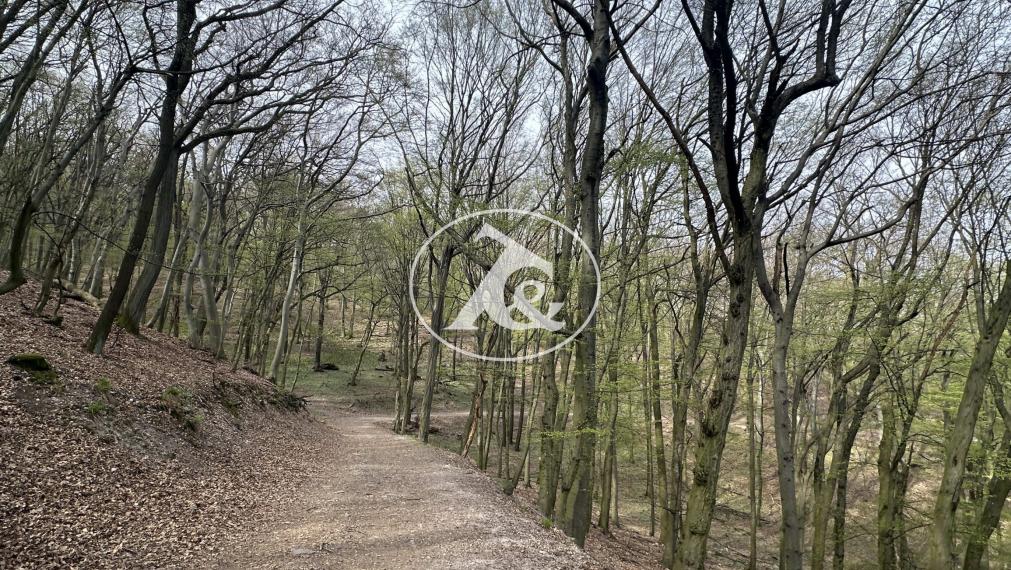 Prenájom- Bratislava III/Koliba - Brečtanová ul. - romantického 3i bytu v rodinnom dome, na rozhraní mesta a lesa