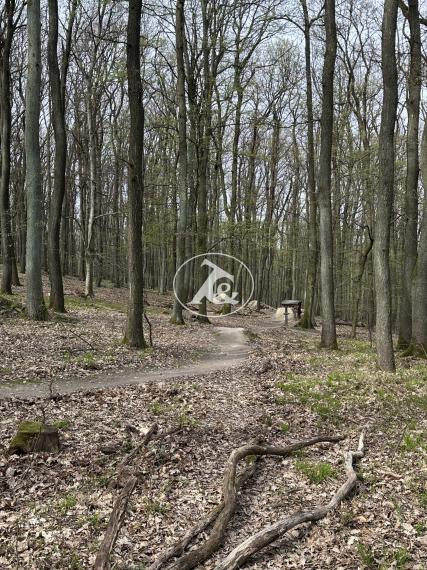 Prenájom- Bratislava III/Koliba - Brečtanová ul. - romantického 3i bytu v rodinnom dome, na rozhraní mesta a lesa