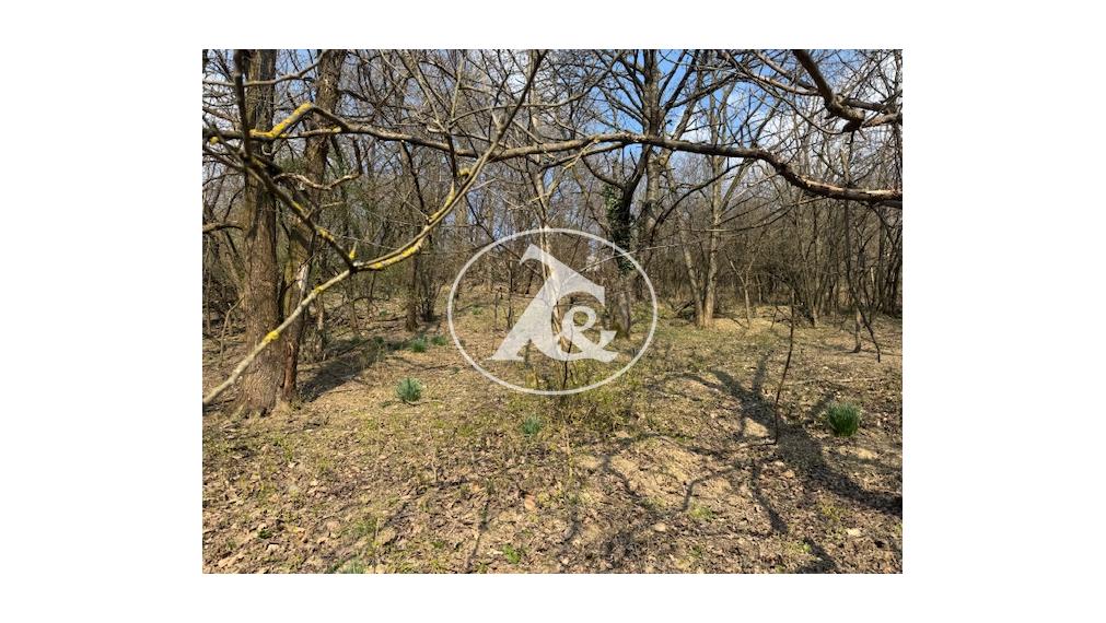 Záhrada - potencionálne investičný pozemok !