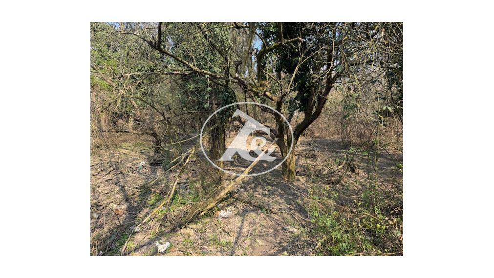 Záhrada - potencionálne investičný pozemok !