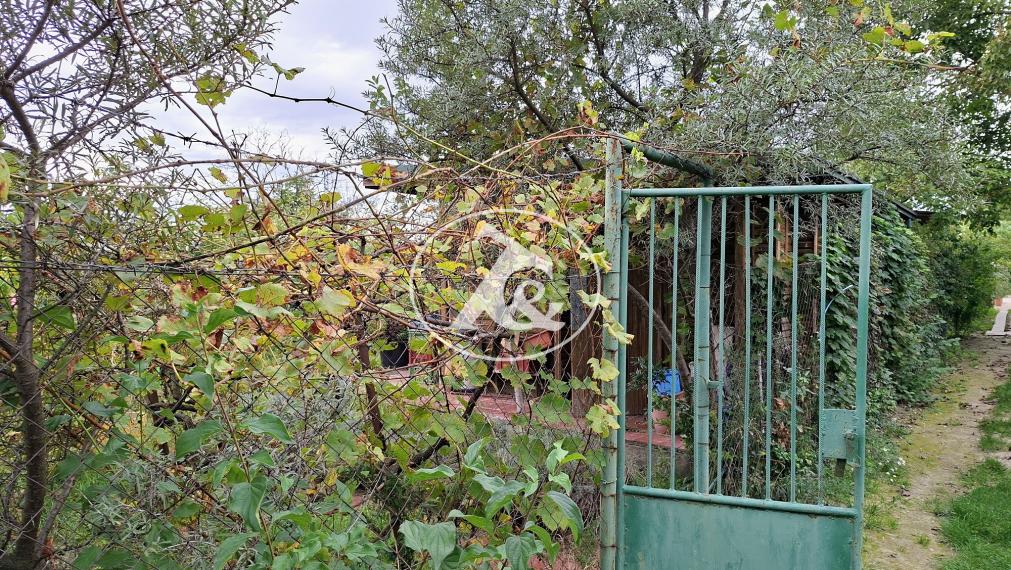 ZÁHRADA S CHATKOU VHODNÁ NA RELAX, AJ PESTOVANIE OVOCIA A ZELENINY, 4 ÁRE, PODUNAJSKÉ BISKUPICE