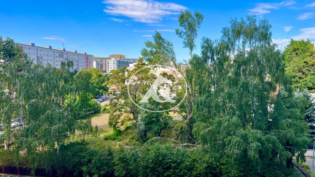 PRENÁJOM ZREKONŠTRUOVANEJ GARZONKY S KLIMATIZÁCIOU V BLÍZKOSTI JAZERA DRAŽDIAK,PETRŽALKA
