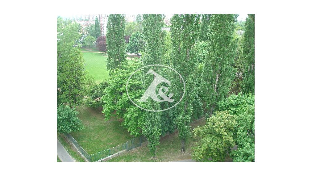 PRENÁJOM VEĽMI PEKNEJ ZARIADENEJ GARZONKY V TICHOM PROSTREDÍ PLNOM ZELENE,RUŽINOV(ŠTEFUNKOVA UL)