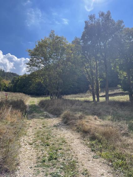 Hľadáte si miesto pre Vašu chatku v prírode?