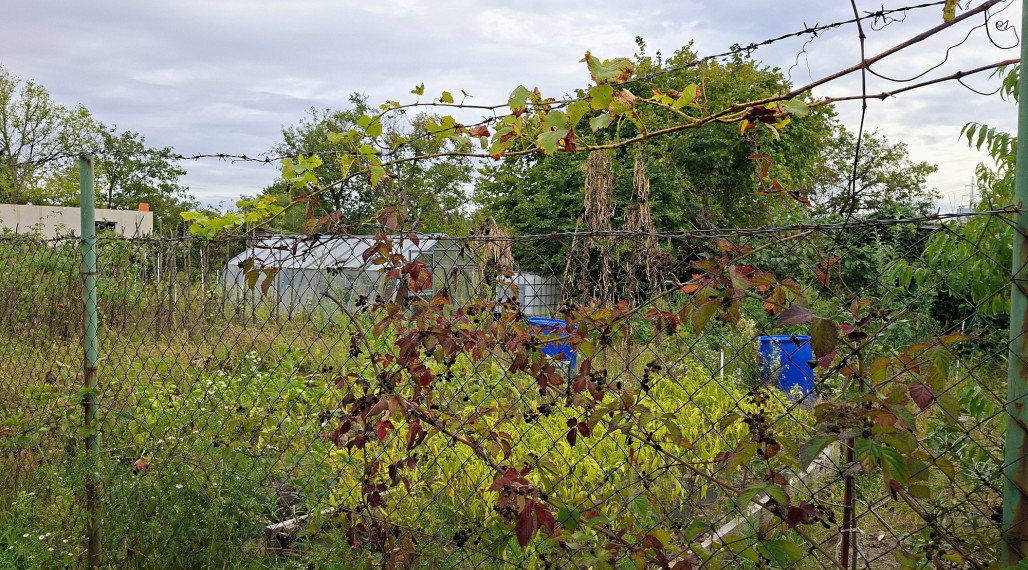 HĽADÁTE ZÁHRADU NA RELAX A PESTOVANIE OVOCIA A ZELENINY ? PONÚKAME ZÁHRADU SO ZÁHRADNOU CHATKOU, PODUNAJSKÉ BISKUPICE