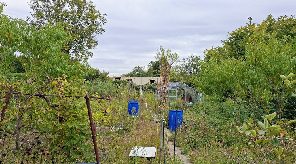 ZÁHRADA VHODNÁ NA RELAX, AJ PESTOVANIE OVOCIA A ZELENINY, ZÁHRADNÁ CHATKA, PODUNAJSKÉ BISKUPICE