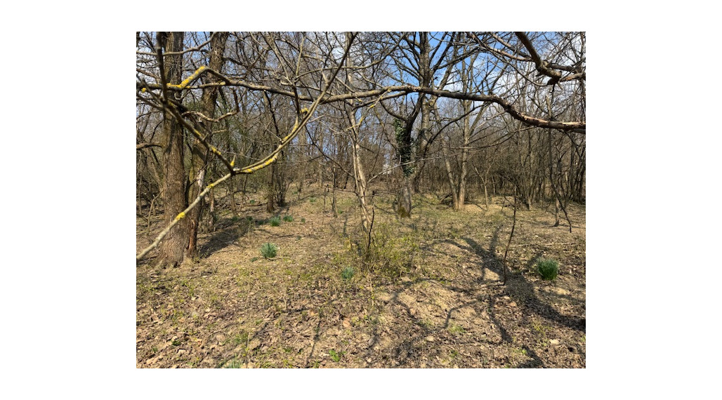 Záhrada - potencionálne investičný pozemok !