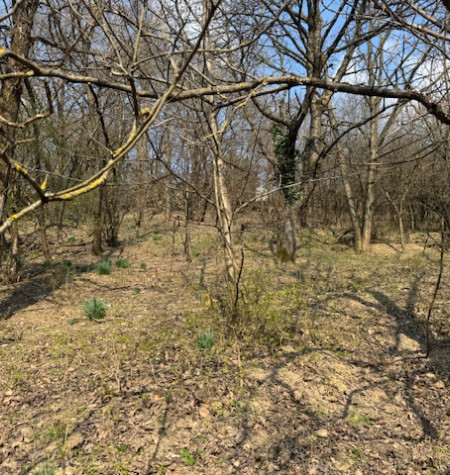 Záhrada - potencionálne investičný pozemok !