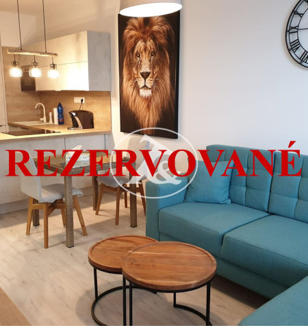 Novostavba bytu -Slnečnice mesto - BA -Petržalka