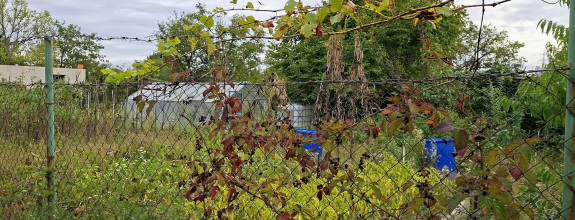 HĽADÁTE ZÁHRADU NA RELAX A PESTOVANIE OVOCIA A ZELENINY ? PONÚKAME ZÁHRADU SO ZÁHRADNOU CHATKOU, PODUNAJSKÉ BISKUPICE